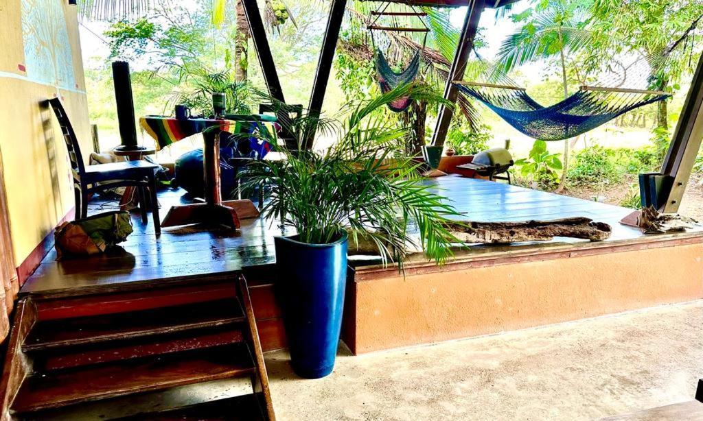 Luminosa Uvita Hostel Esterno foto